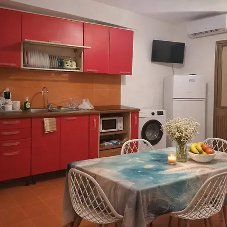 Carolhouse Lido Conchiglia
